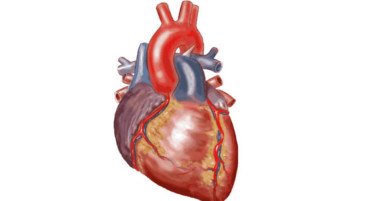 Getting Back To Work After Heart Operation When And How?